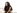 Victoria hurle quand on la baise et se fait arroser le visage