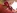 2 amatrices rousses partagent 2 grosses pines