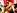 Lou se fait sodomiser et l�che la chatte de son amie.