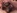 Baise de groupe avec 2 blondes  gros nichons