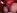 Ejaculation faciale pour Denise et Cathy