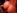 Un petit couple amateur ralise une vido coquine 