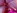 Baise et pntration anale violentes en extrieur