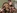 2 soubrettes brunes aux seins silicons