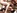 2 soubrettes brunes aux seins silicons