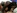 Branlette espagnole et ejaculation dans la bouche pour le casting d'une belle black