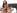 une brune baise sur un lit