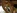 Sofia, jolie femme aux gros seins naturels