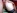Le casting extreme de Liliane