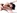 2 lesbiennes : une blonde silicon�e et une brune � chatte poilue