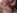2 lesbiennes : une blonde silicon�e et une brune � chatte poilue