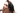 Une asiatique est teste sexuellement aprs un entretien