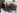 Melody, une panthere noire, bais�e par un petit blanc
