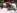 Melody, une panthere noire, bais�e par un petit blanc