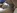 Melody, une panthere noire, bais�e par un petit blanc