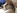 Melody, une panthere noire, bais�e par un petit blanc