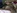 Melody, une panthere noire, bais�e par un petit blanc