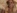 Une jolie blonde aux gros seins, sodomise par une grosse bite