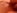 Du sperme pour une brune � petits seins et � la chatte ras�e