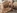 Petite asiatique � chatte poilue dans un film X 