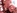 Jeu de vibro amateur pour une asiatique � chatte poilue
