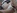 Casting d'une Japonaise � gros seins naturels et chatte tr�s poilue