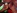 film X avec une brune � grosse chatte et gros seins prise en anal