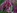 Une belle amatrice brune aux seins silicon�s se fait enculer