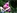 Une belle amatrice brune aux seins silicon�s se fait enculer