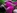 Une belle amatrice brune aux seins silicon�s se fait enculer