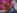 Une belle amatrice brune aux seins silicon�s se fait enculer