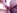 Une petite blonde se fait niquer, puis enculer et jaculer sur le visage