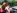 Blonde tatoue  gros seins baise contre une voiture