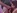 Seins silicons et piercings aux ttons en sexe anal