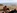 2 copines brunes film�es sur la plage