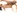 Une enorme pine engouffr�e par une belle meuf  bien chaude