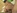 Une �norme bite pour la bouche et la chatte d'une femme mari�e