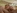 Victoria, une belle brune sexy, bais�e sur une table