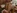 Victoria, une belle brune sexy, bais�e sur une table