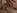 le Film X d'une d�butante qui tente l'anal et l'�jaculation faciale