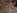 le Film X d'une d�butante qui tente l'anal et l'�jaculation faciale