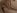 le Film X d'une d�butante qui tente l'anal et l'�jaculation faciale