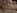 le Film X d'une d�butante qui tente l'anal et l'�jaculation faciale