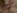 Video porno amateur d'une etudiante prise en anal