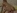 Le porno d'une �tudiante bais�e en anal dans sa chambre