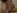 Le porno d'une �tudiante bais�e en anal dans sa chambre