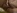 Le porno d'une �tudiante bais�e en anal dans sa chambre