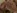 Le porno d'une �tudiante bais�e en anal dans sa chambre