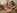 Un porno amateur o� une brune se fait enculer et dilater l'anus