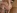 Un porno amateur o� une brune se fait enculer et dilater l'anus